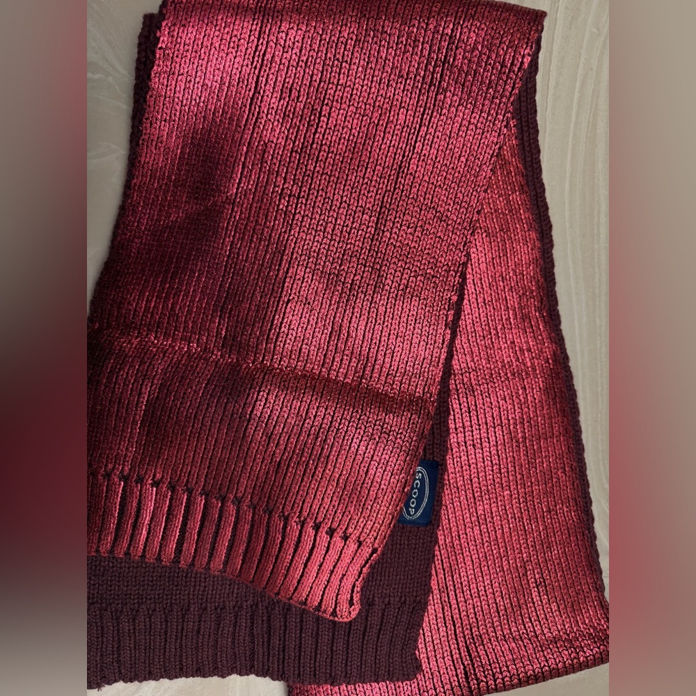NWOT‎ metallic coated Scarf -/:((